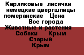 Карликовые “лисички“  немецкие цвергшпицы/померанские › Цена ­ 35 000 - Все города Животные и растения » Собаки   . Крым,Старый Крым